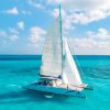 Catamaran Tours Large Group 75 ft / 80 pax - Image 5