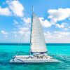 Catamaran Tours Large Group 75 ft / 80 pax - Image 4